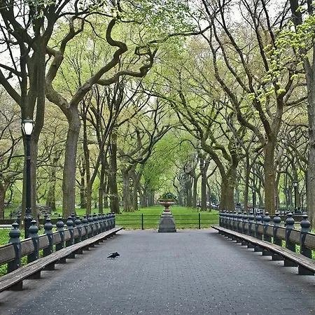 Hudson Central Park, A Morgans Hotel-3